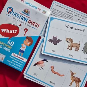 What Question Quest